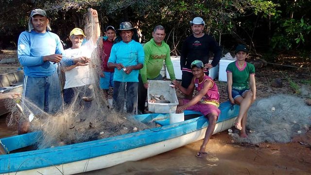 PROJETO DE LEI PEIXE VIVO