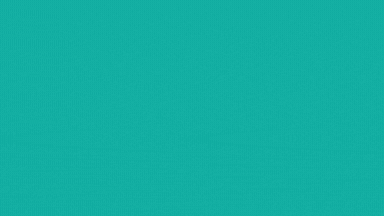 Portal Transparência CM JF.gif